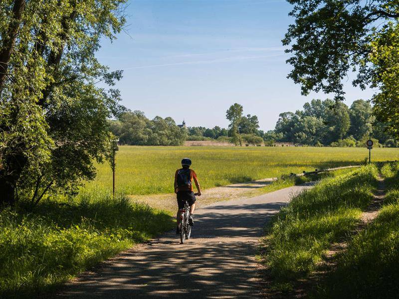 Randonnée : Piste cyclable - Dahlenheim / Scharrachbergheim