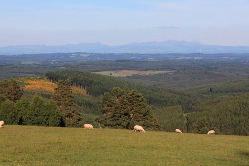 Randonnée : VTT - Gravel - Monts et bruyères - 16 km - circuit 8