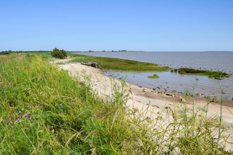 Randonnée : Boucle de l'Estuaire à VTT