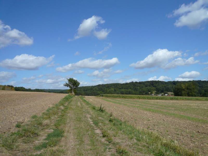 Randonnée : Les trois Monts