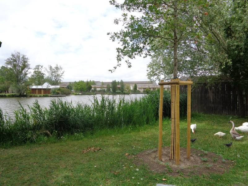 Randonnée : Balade à roulettes : Le parc des étangs - Impraticable