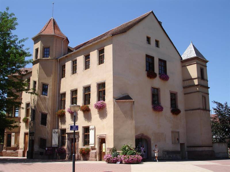 Randonnée : Circuit du Ried - VTT