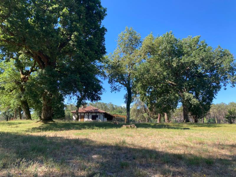 Randonnée : A Linxe, circuit du Moulin de Binaou