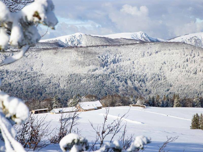 Randonnée : Balade en raquettes au Schnepfenried : Circuit 5- À travers les Hautes-Chaumes