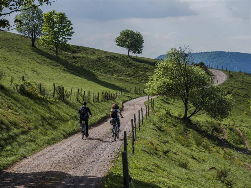 Randonnée : Circuit vélo C20 : Entre principauté de Salm et comté du Ban de la Roche