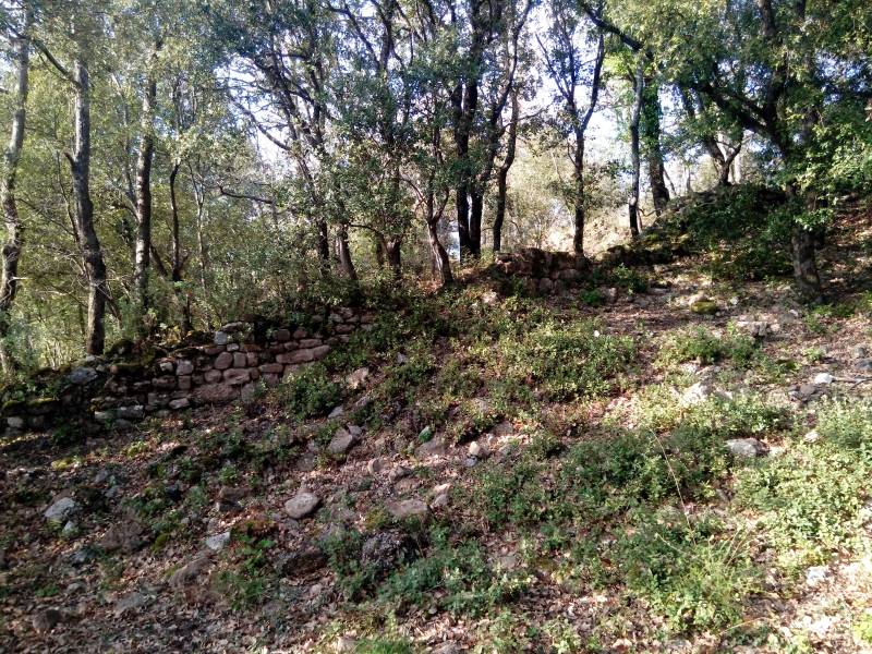 Randonnée : Randonnée "Le Castrum Saint-Michel"