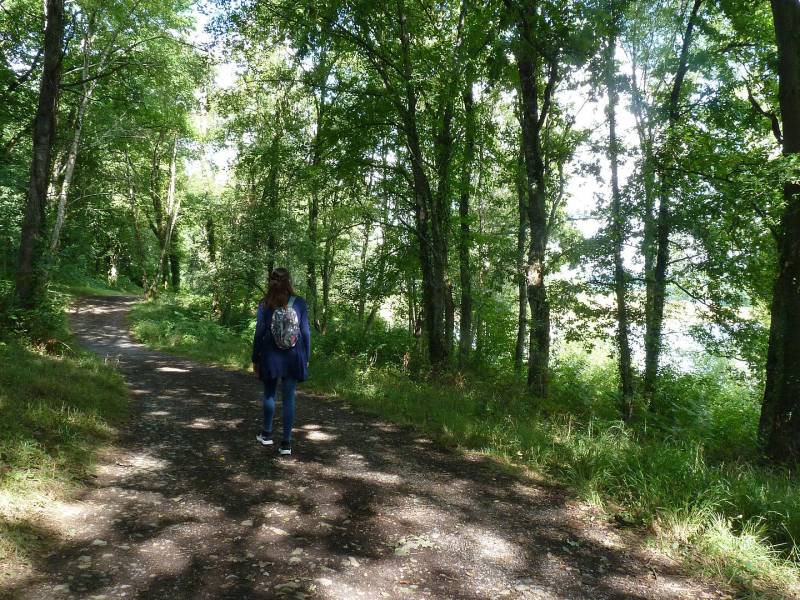 Randonnée : Serres-Castet : la balade des collines