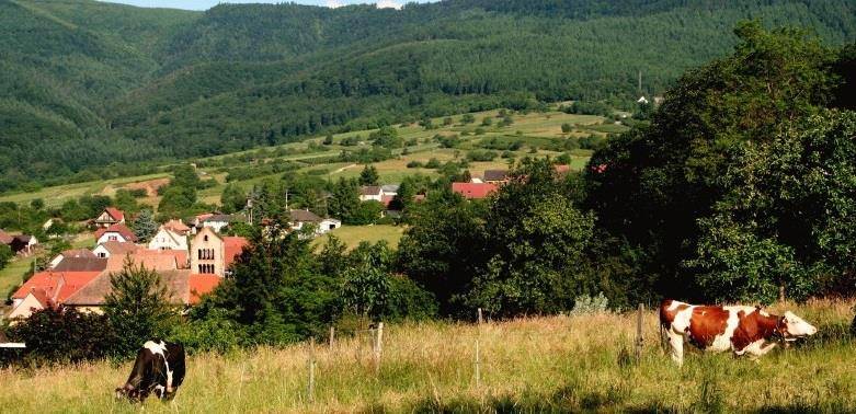 Randonnée : Le sentier des sols