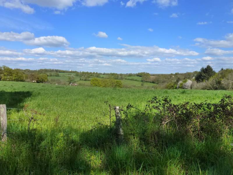 Randonnée : Chemin de Boireau
