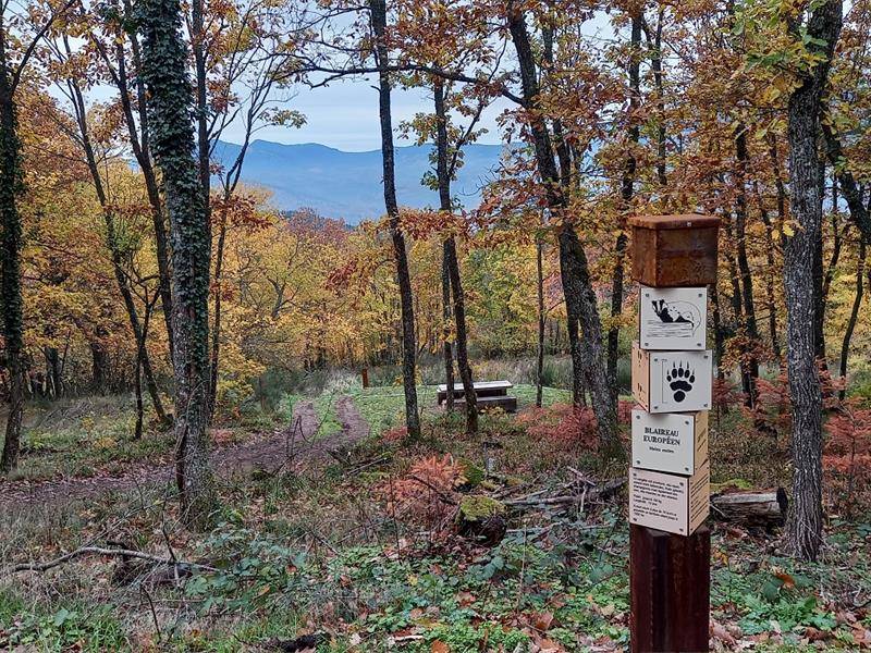 Randonnée : Sentier Au Pays des Bûcherons