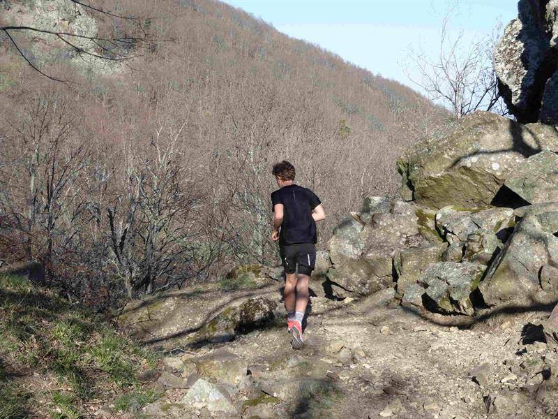 Randonnée : Trail Wattwiller - Hartmannswillerkopf