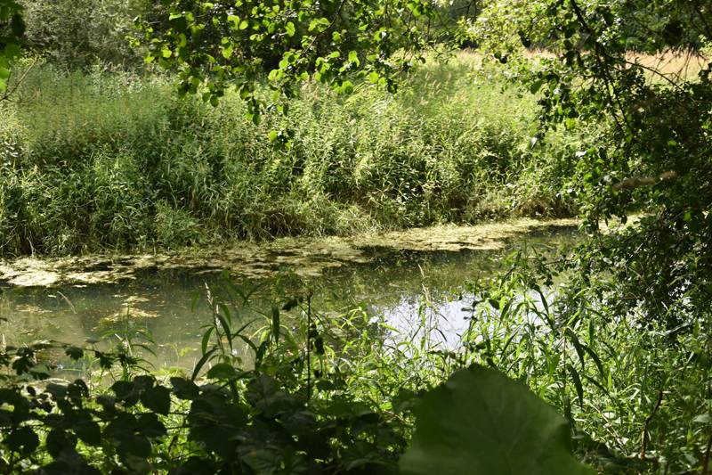 Randonnée : Sentier des Iles de Bonny