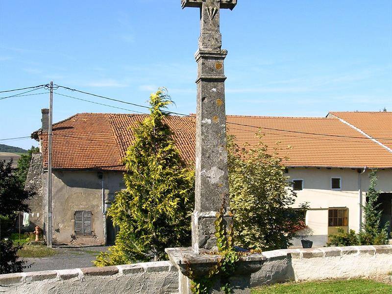Randonnée : Itinéraire découverte autour de Vennezey