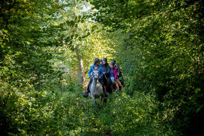Randonnée : Etape 5 La Chevauchée du Pays d'Auge à la Seine : Orbec - Broglie
