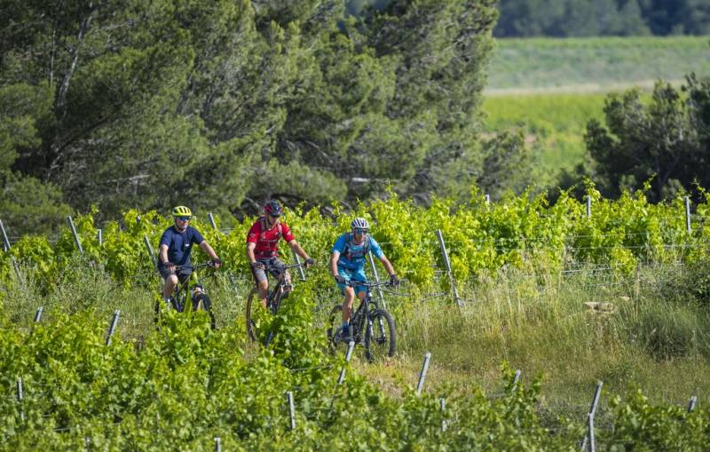 Randonnée : CIRCUIT VTT 24 : LOS CAMINS DE TOURBES - ESPACE VTT/GRAVEL CAP D'AGDE MÉDITERRANÉE