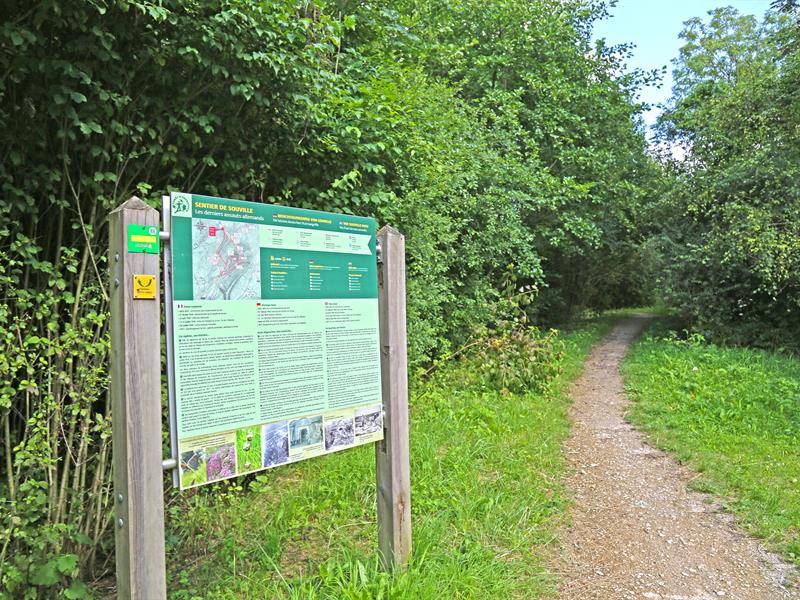 Randonnée : Sentier de Souville - Circuit Forêt d'Exception