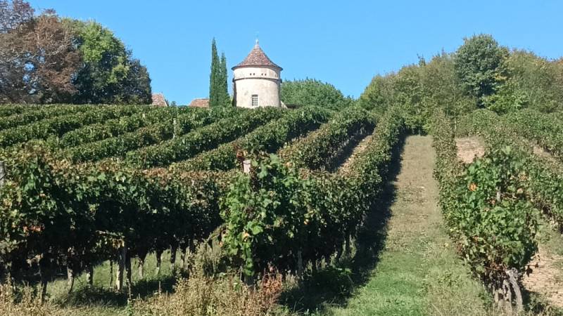 Randonnée : Boucle des Charmes