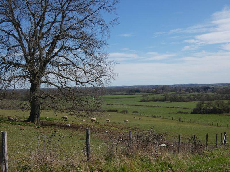 Randonnée : 36 - Boucle du Racot - Saint-Pierre-les-Etieux