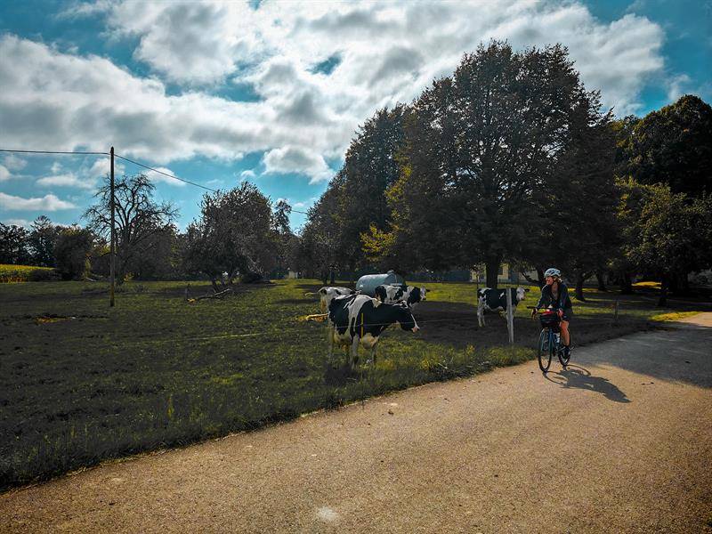 Randonnée : Circuit Gravel 56 km autour de la capitale sundgauvienne