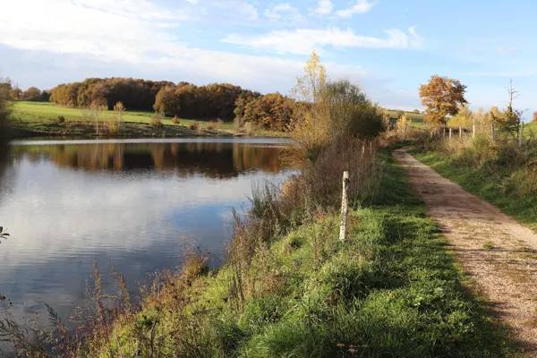 Randonnée : Lac de la Brienne ou de Planèzes (lâchers de truites)
