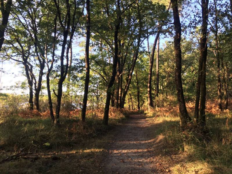 Randonnée : Parcours VTT N°8 au départ de Riberac