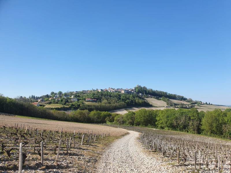 Randonnée : Le petit tour de Sancerre