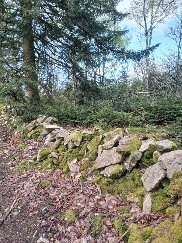 Randonnée : Le circuit des vieilles pierres