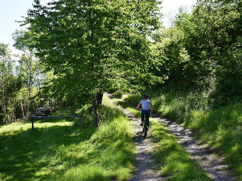 Randonnée : Circuit VTT n°20 : Les balcons de Mitzach
