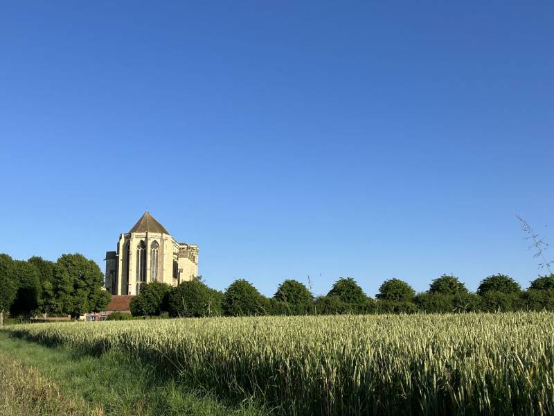Randonnée : Le chemin de la vallée rouge