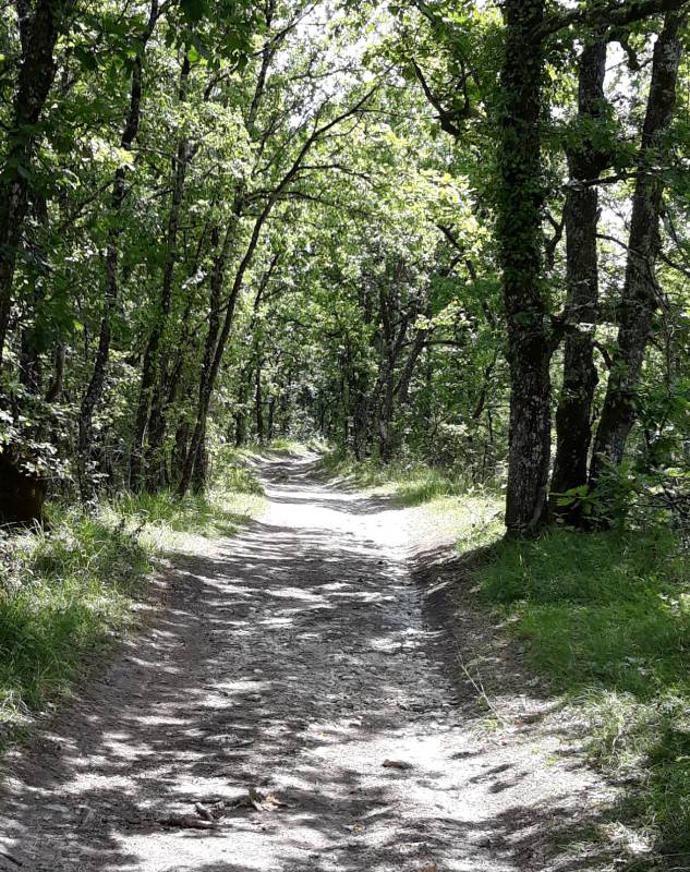 Randonnée : Ferrensac, une randonnée entre plaine du Dropt et coteaux