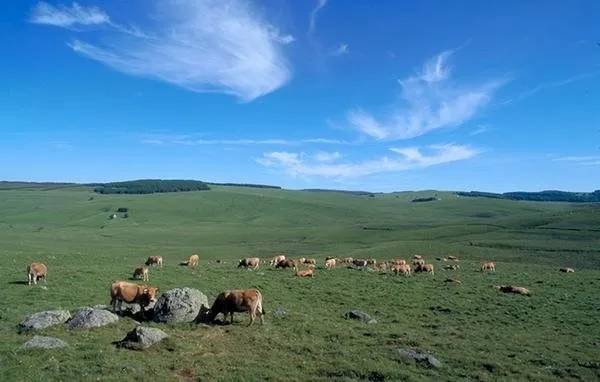 Randonnée : Cyclotourisme : Circuit de l'Aubrac