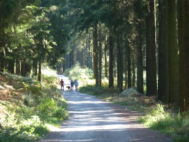 Randonnée : Circuit de randonnée pédestre n° 7 Chabrières