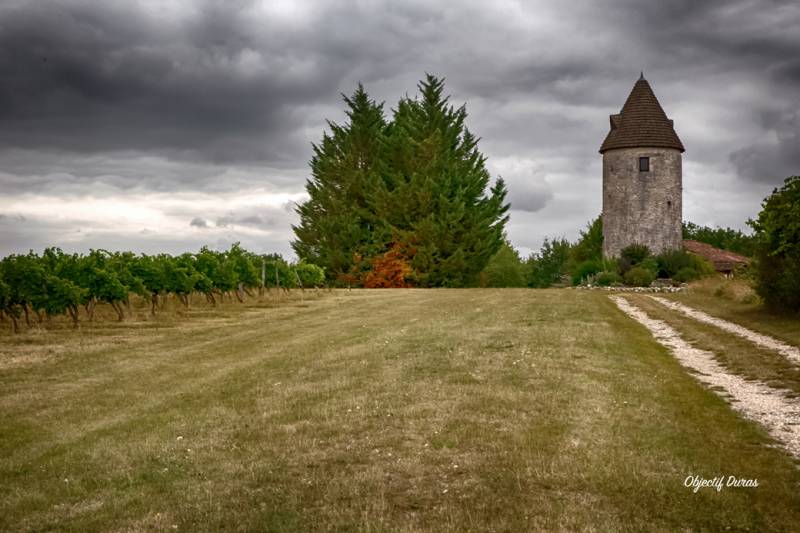 Randonnée : Loubès-Bernac, la balade des quatre moulins