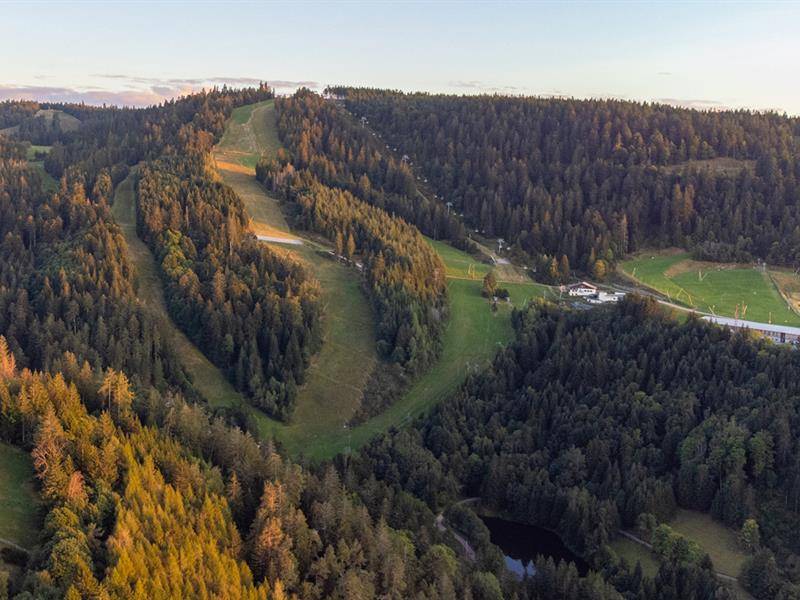 Randonnée : Circuit trail Gérardmer n°1 (vert) - Tour des pistes