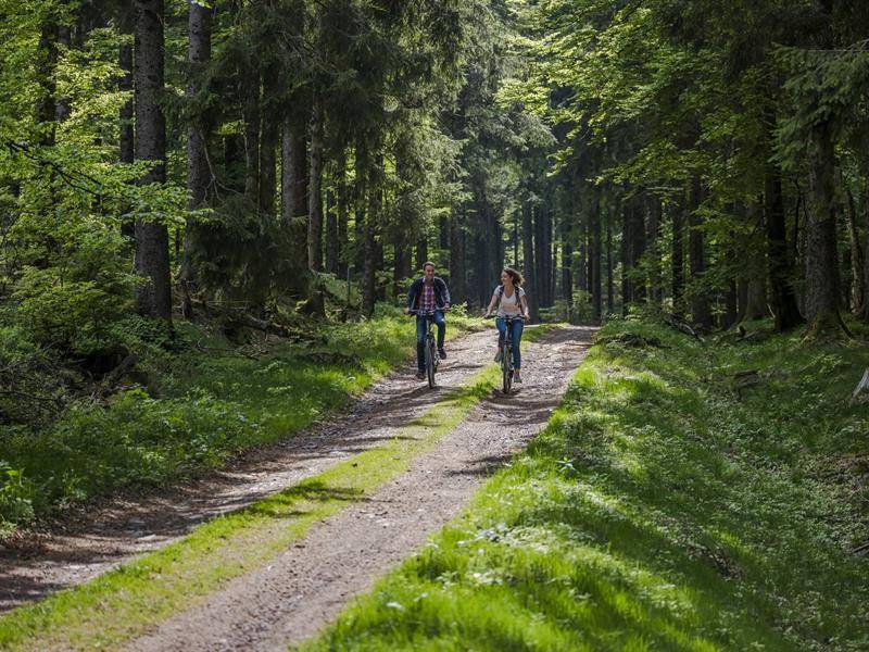 Randonnée : Circuit vélo C19 : De Salm à Saulxures