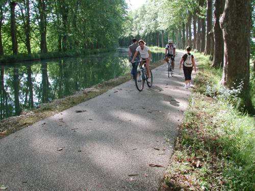Randonnée : Le Canal de Caumont à Fourques