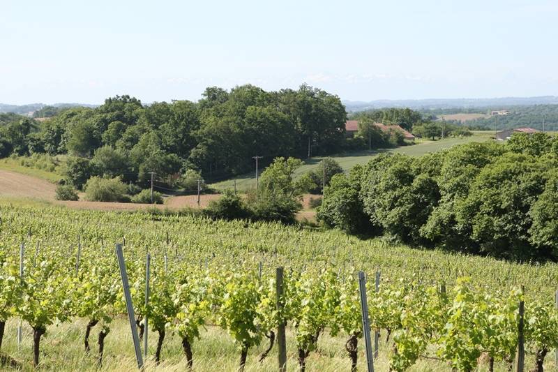 Randonnée : A Serres-Gaston, circuit de Lesgouarrigues