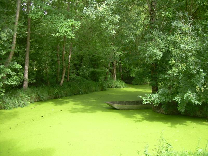 Randonnée : En route pour le Marais à Saint-Georges-de-Rex