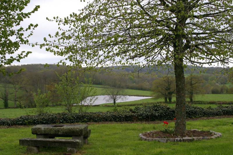 Randonnée : Le sentier du Tilleul