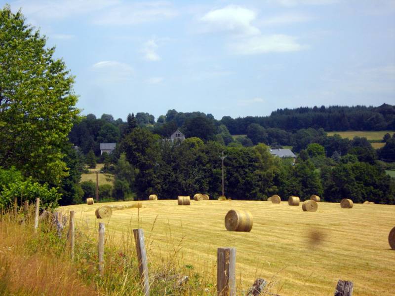 Randonnée : Chemin de campagne
