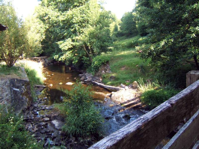 Randonnée : Chemin des deux moulins