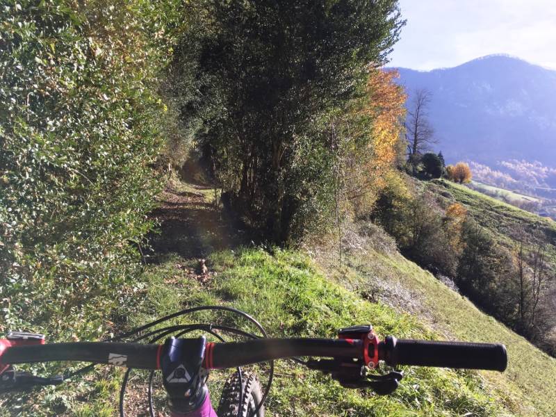 Randonnée : VTT N°6 -  Fougeraies de Laünde