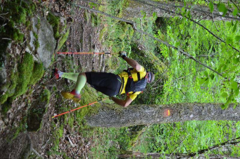 Randonnée : Circuit Trail n°7 : les bois de Sainte Feyre