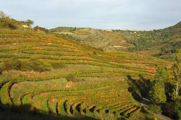 Randonnée : La route des vins de Marcillac