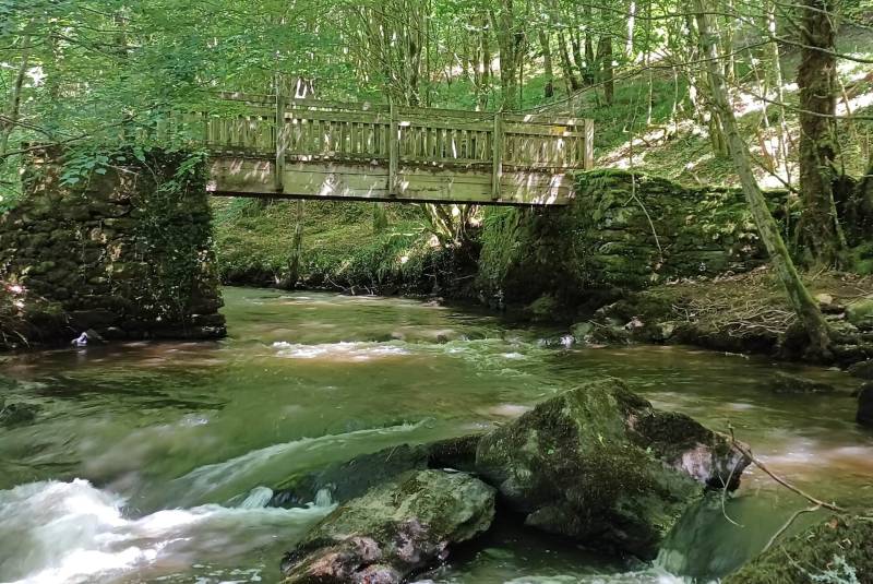 Randonnée : Sentier du Bois Jeansac