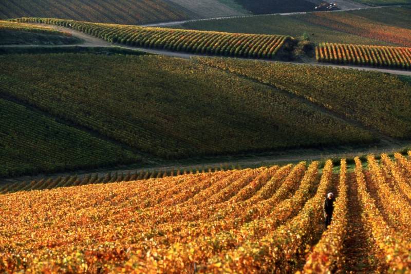 Randonnée : Route du champagne à vélo
