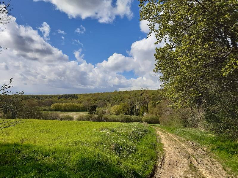 Randonnée : Entre osier et troglos