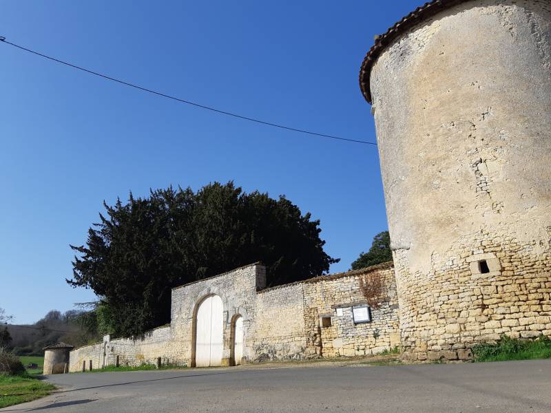 Randonnée : En descendant vers la vallée - Montalembert