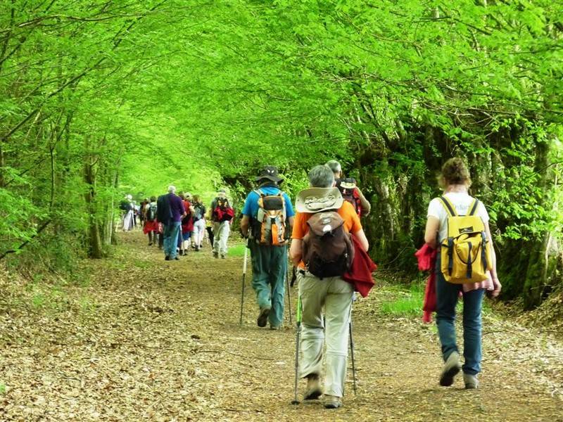Randonnée : PRETREVILLE  : La boucle de Querville - 6,7KM