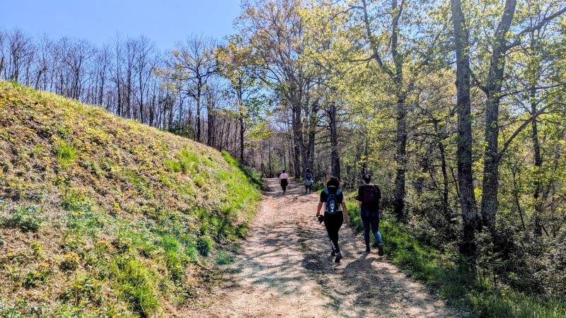 Randonnée : Vallon du Lalaas